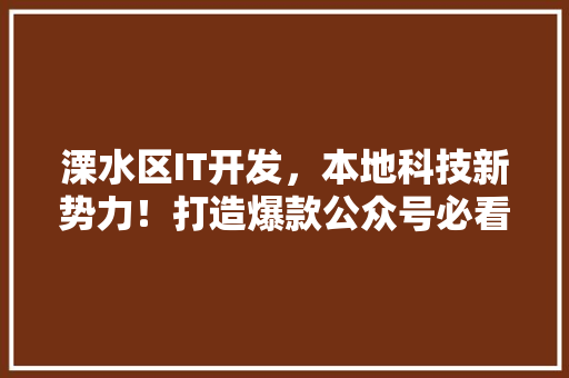 溧水区IT开发，本地科技新势力！打造爆款公众号必看攻略！ 百度SEO