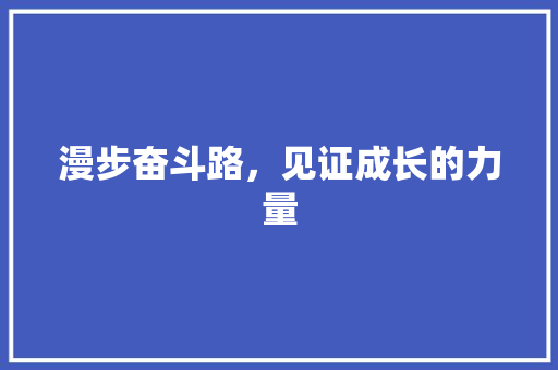 漫步奋斗路，见证成长的力量 神马SEO