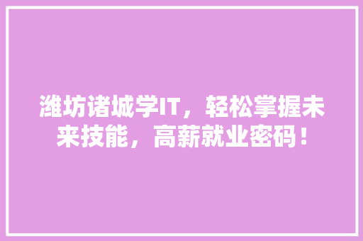 潍坊诸城学IT，轻松掌握未来技能，高薪就业密码！ GoogleSEO