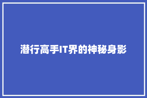 潜行高手IT界的神秘身影 GoogleSEO