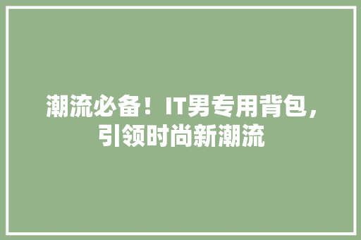 潮流必备！IT男专用背包，引领时尚新潮流 百度SEO