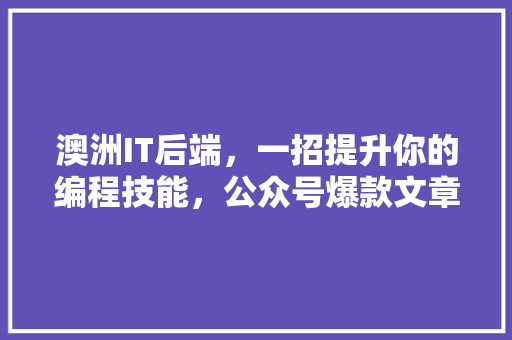 澳洲IT后端，一招提升你的编程技能，公众号爆款文章推荐！ 必应SEO