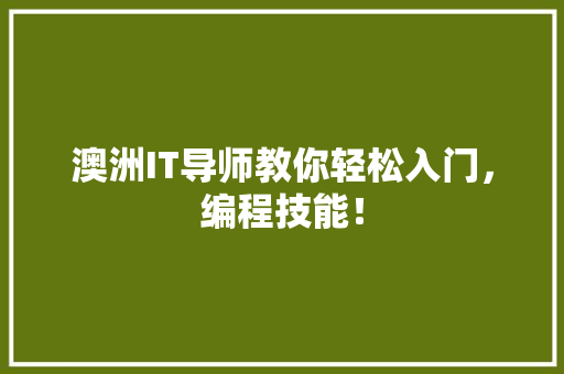 澳洲IT导师教你轻松入门，编程技能！ 必应SEO