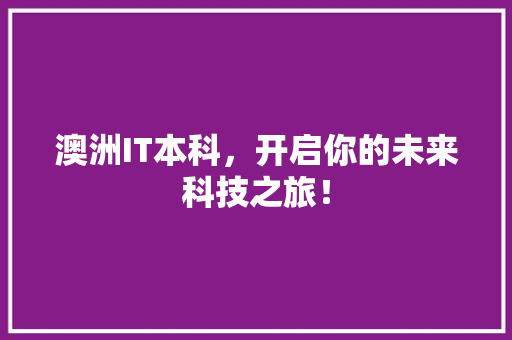 澳洲IT本科，开启你的未来科技之旅！ 必应SEO