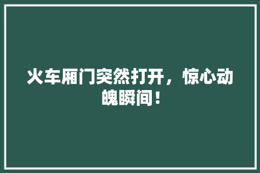火车厢门突然打开，惊心动魄瞬间！ 必应SEO