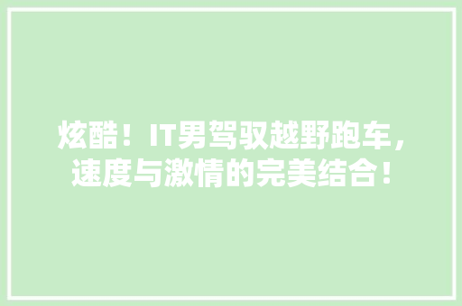 炫酷！IT男驾驭越野跑车，速度与激情的完美结合！ GoogleSEO