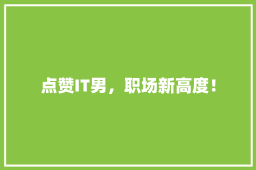 点赞IT男，职场新高度！ 神马SEO