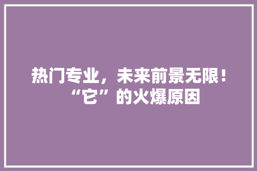 热门专业，未来前景无限！“它”的火爆原因 神马SEO