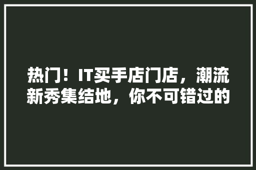 热门！IT买手店门店，潮流新秀集结地，你不可错过的时尚打卡圣地！ 神马SEO