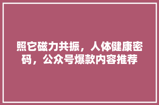 照它磁力共振，人体健康密码，公众号爆款内容推荐 百度SEO