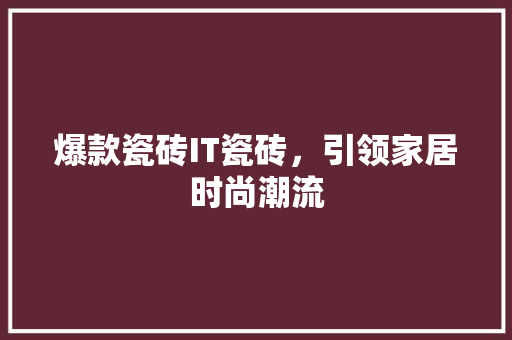 爆款瓷砖IT瓷砖，引领家居时尚潮流 搜狗SEO
