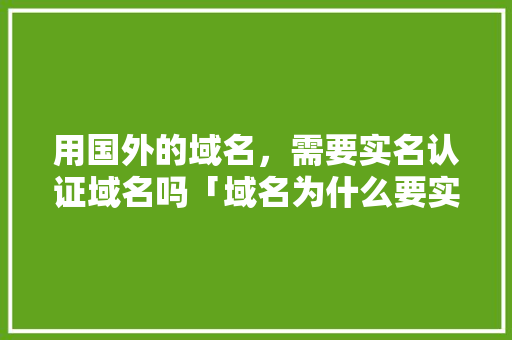 用国外的域名，需要实名认证域名吗「域名为什么要实名认证呢」 用国外的域名，需要实名认证域名吗「域名为什么要实名认证呢」 必应SEO