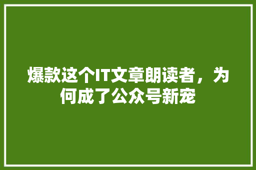 爆款这个IT文章朗读者，为何成了公众号新宠 GoogleSEO