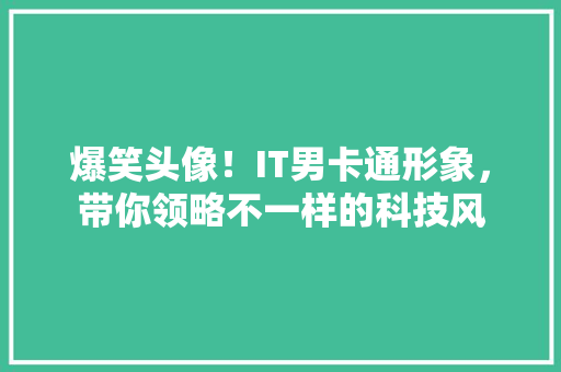 爆笑头像！IT男卡通形象，带你领略不一样的科技风 必应SEO
