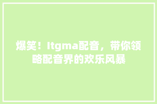 爆笑！Itgma配音，带你领略配音界的欢乐风暴 百度SEO
