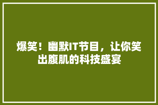 爆笑！幽默IT节目，让你笑出腹肌的科技盛宴 GoogleSEO
