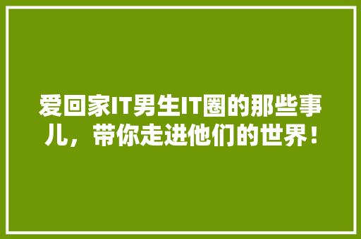 爱回家IT男生IT圈的那些事儿，带你走进他们的世界！ GoogleSEO