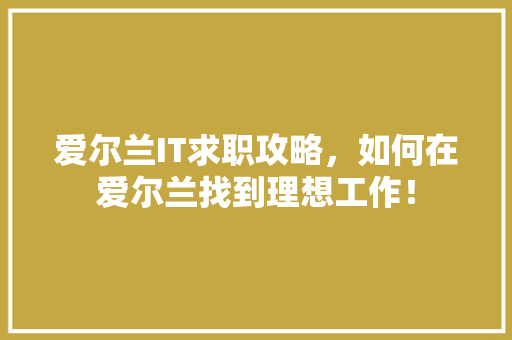 爱尔兰IT求职攻略，如何在爱尔兰找到理想工作！ 必应SEO