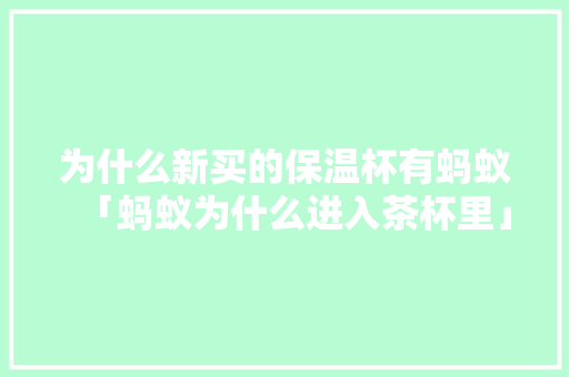 为什么新买的保温杯有蚂蚁「蚂蚁为什么进入茶杯里」 为什么新买的保温杯有蚂蚁「蚂蚁为什么进入茶杯里」 必应SEO