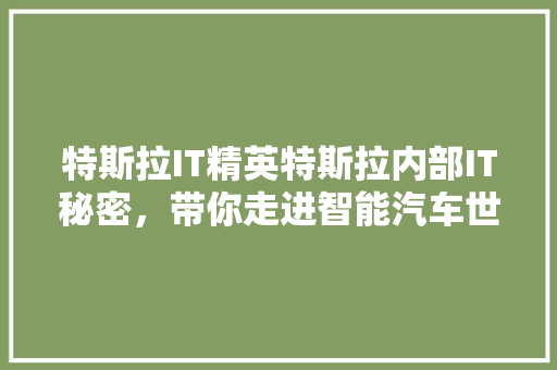 特斯拉IT精英特斯拉内部IT秘密，带你走进智能汽车世界！ 百度SEO