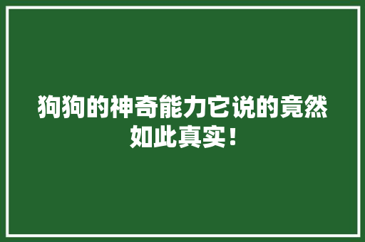 狗狗的神奇能力它说的竟然如此真实！ 百度SEO