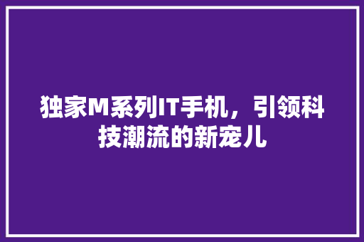独家M系列IT手机，引领科技潮流的新宠儿 搜狗SEO