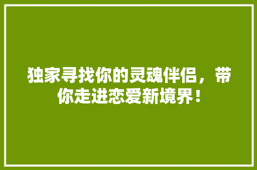 独家寻找你的灵魂伴侣，带你走进恋爱新境界！ GoogleSEO