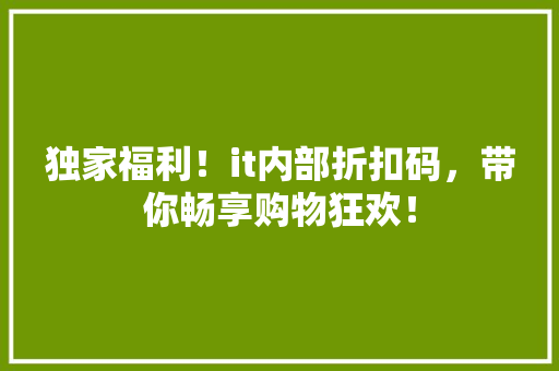独家福利！it内部折扣码，带你畅享购物狂欢！ 神马SEO