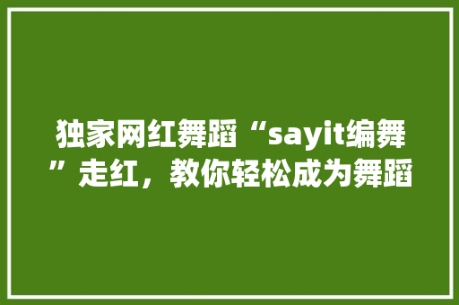 独家网红舞蹈“sayit编舞”走红，教你轻松成为舞蹈达人 百度SEO