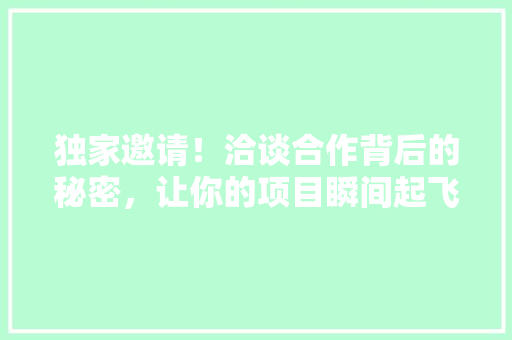 独家邀请！洽谈合作背后的秘密，让你的项目瞬间起飞！ 神马SEO
