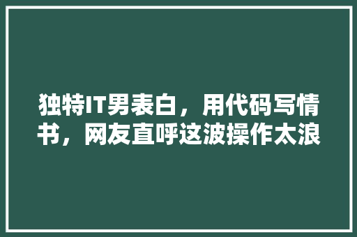 独特IT男表白，用代码写情书，网友直呼这波操作太浪漫了！ 必应SEO