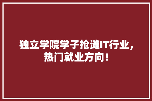 独立学院学子抢滩IT行业，热门就业方向！ 神马SEO