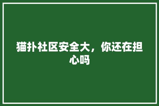 猫扑社区安全大，你还在担心吗 必应SEO