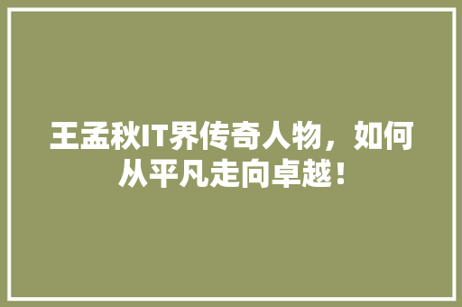 王孟秋IT界传奇人物，如何从平凡走向卓越！ 神马SEO