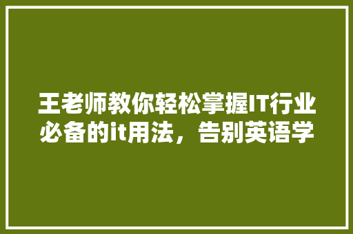 王老师教你轻松掌握IT行业必备的it用法，告别英语学习难题！ 必应SEO