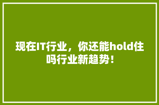 现在IT行业，你还能hold住吗行业新趋势！ 神马SEO