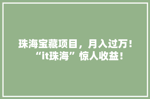 珠海宝藏项目，月入过万！“it珠海”惊人收益！ 百度SEO