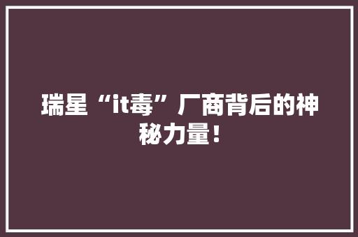 瑞星“it毒”厂商背后的神秘力量！ 百度SEO