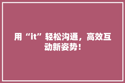 用“it”轻松沟通，高效互动新姿势！ GoogleSEO