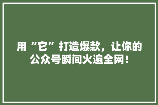 用“它”打造爆款，让你的公众号瞬间火遍全网！ GoogleSEO