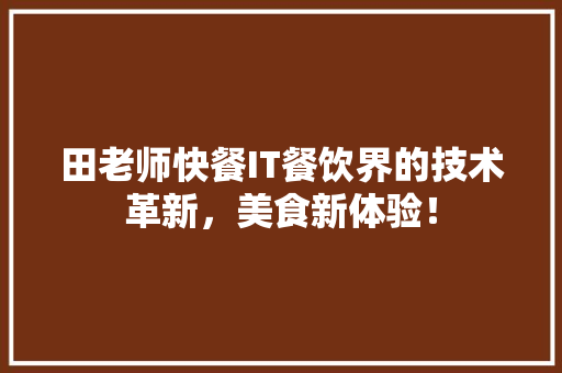 田老师快餐IT餐饮界的技术革新，美食新体验！ GoogleSEO