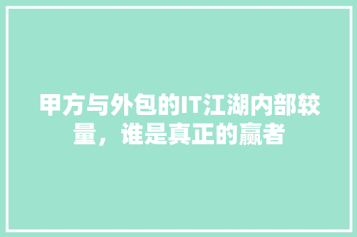 甲方与外包的IT江湖内部较量，谁是真正的赢者 GoogleSEO