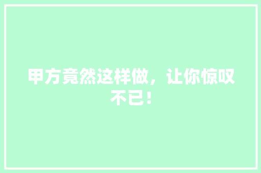 甲方竟然这样做，让你惊叹不已！ GoogleSEO