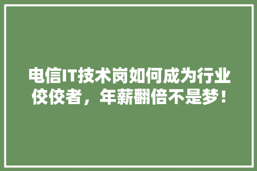 电信IT技术岗如何成为行业佼佼者，年薪翻倍不是梦！ 必应SEO