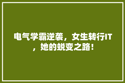 电气学霸逆袭，女生转行IT，她的蜕变之路！ 搜狗SEO
