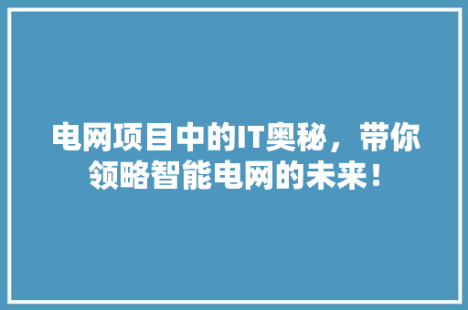 电网项目中的IT奥秘，带你领略智能电网的未来！ GoogleSEO
