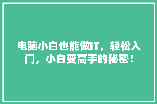 电脑小白也能做IT，轻松入门，小白变高手的秘密！ GoogleSEO