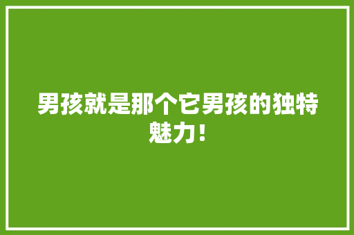 男孩就是那个它男孩的独特魅力！ 搜狗SEO