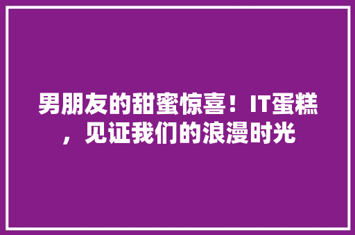 男朋友的甜蜜惊喜！IT蛋糕，见证我们的浪漫时光 搜狗SEO