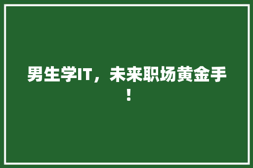 男生学IT，未来职场黄金手！ 神马SEO